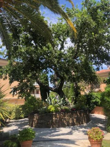 Belle Residence Au Centre De Saint Tropez Avec Piscine Et Garage 외부 사진